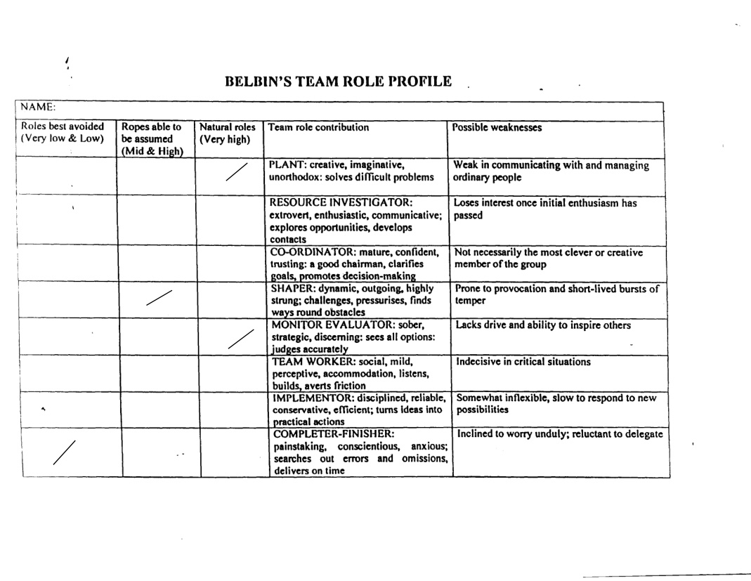 Belbin role profile marking Plant and Monitor Evaluator as natural roles, Shaper as assumable and Completer-Finisher as low